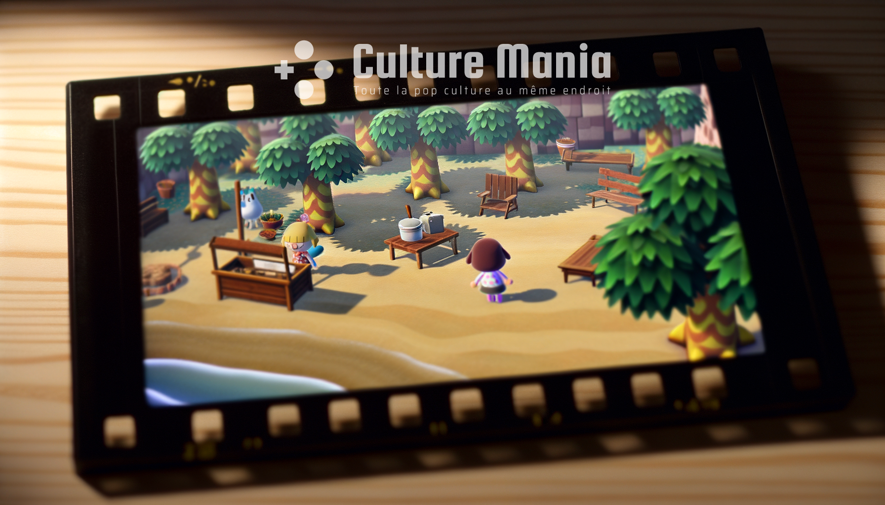 Treasure Island dans Animal Crossing: guide complet