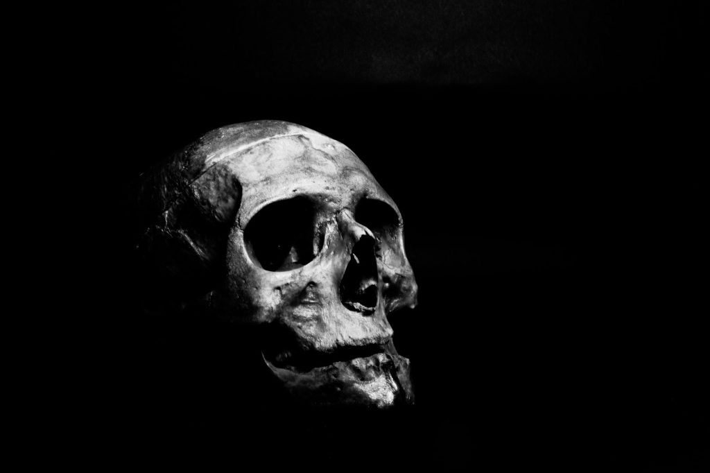 Crâne sculpté sur fond sombre évoquant le thème des morts-vivants