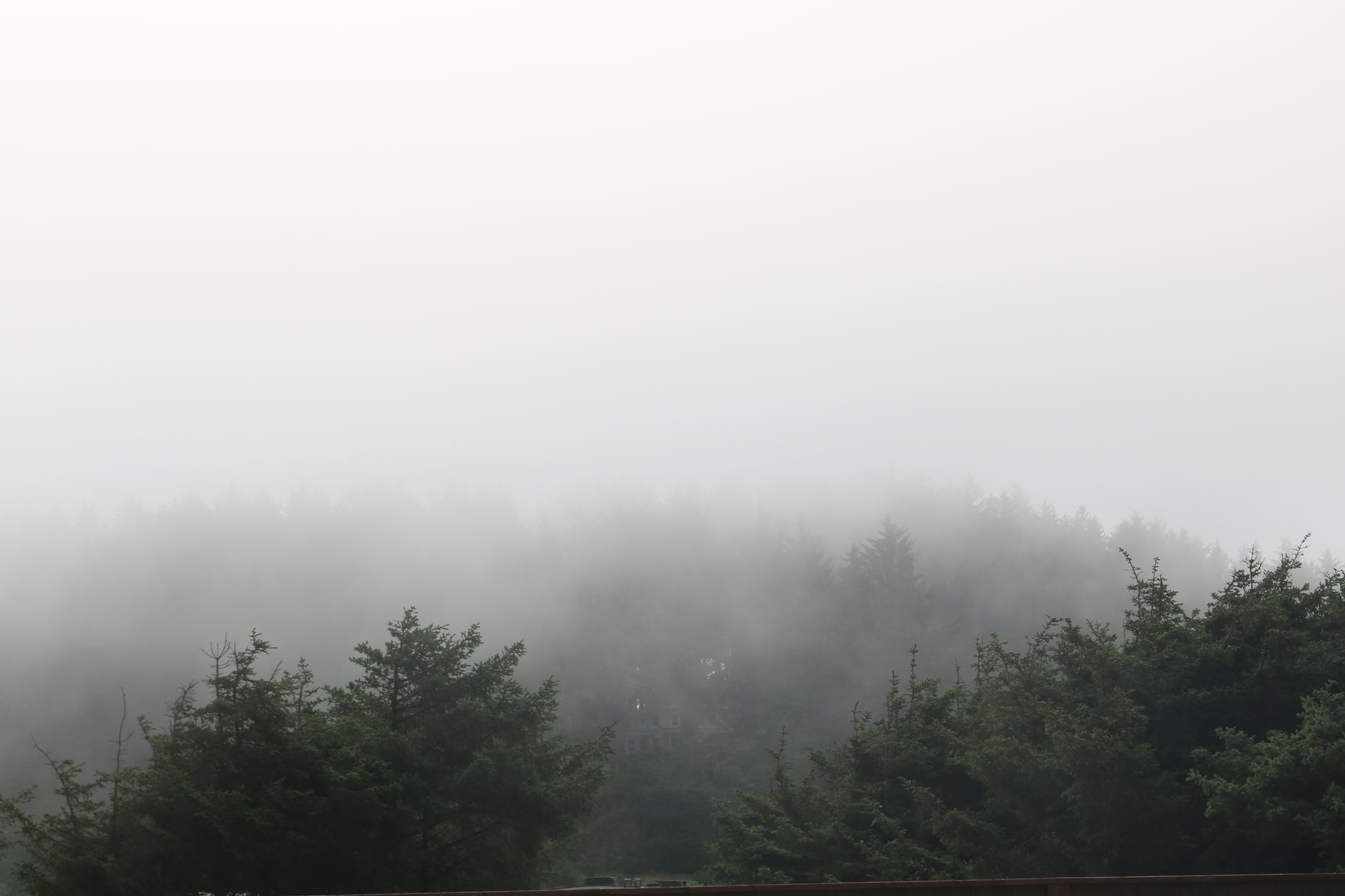 Muichiro Tokito : du brouillard au sacrifice, l&rsquo;énigme du Hashira de la Brume